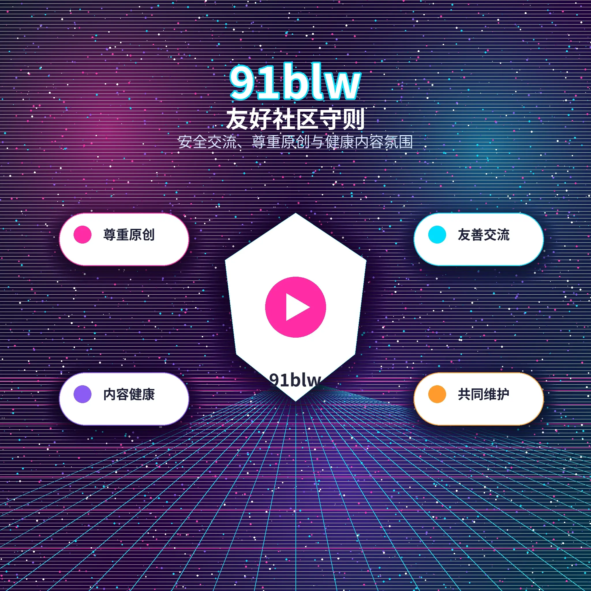 91网理性社交说明